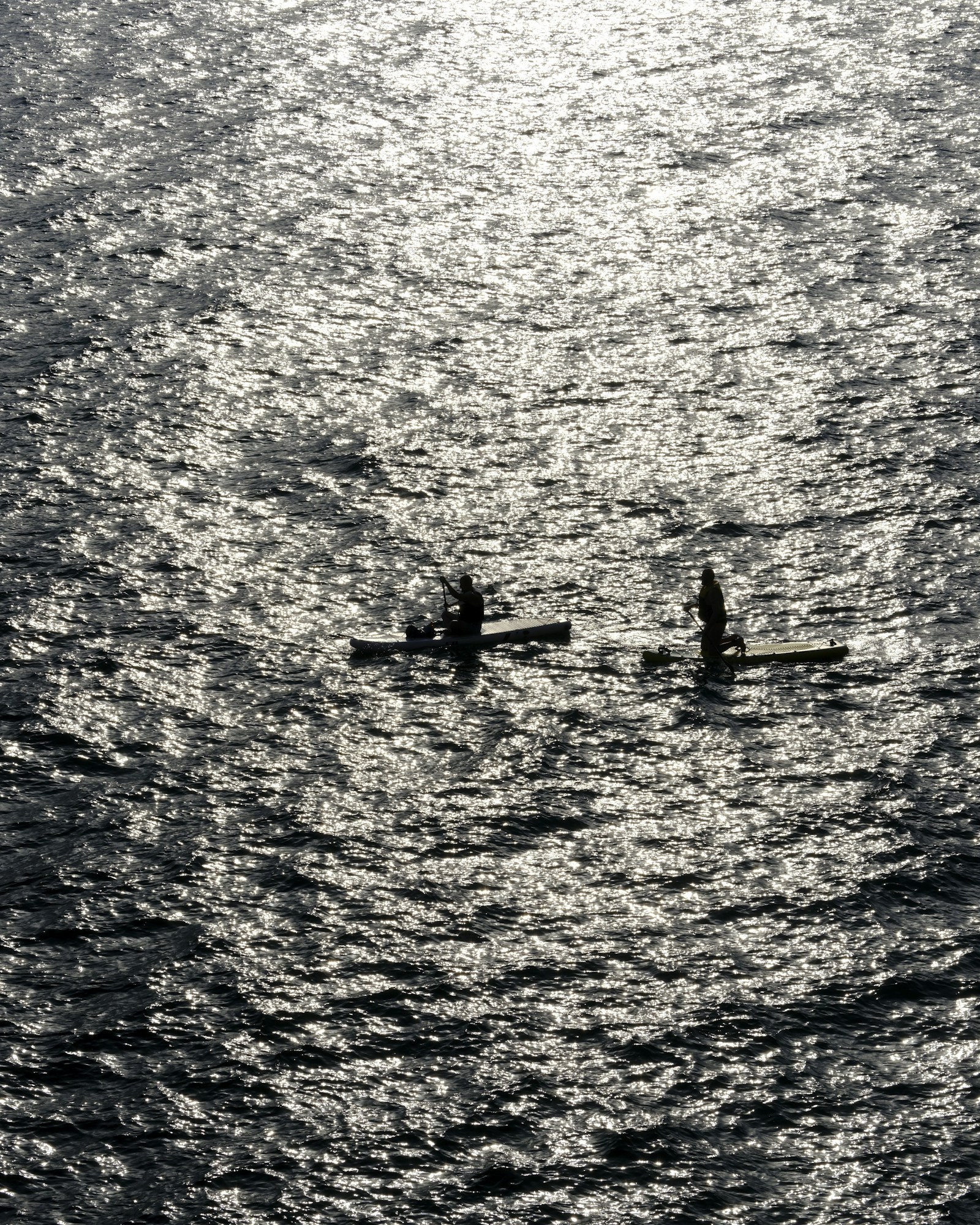 Dupla remando lado a lado em canoa havaiana sobre água escura, vista lateral