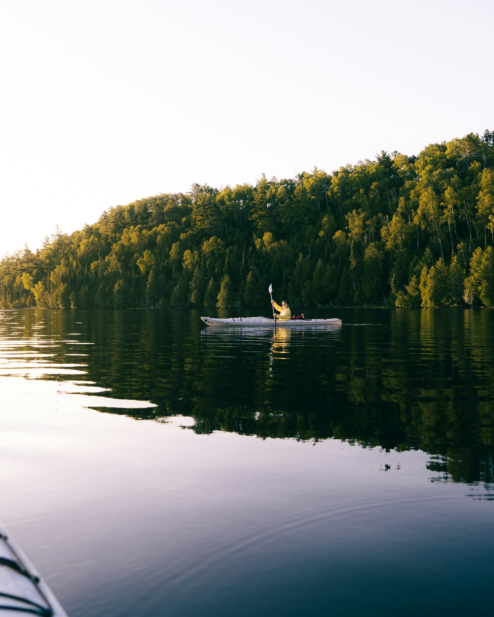 Caiaque solitário desliza em lago calmo com árvores refletidas na água — cena de remo no Lago Paranoá