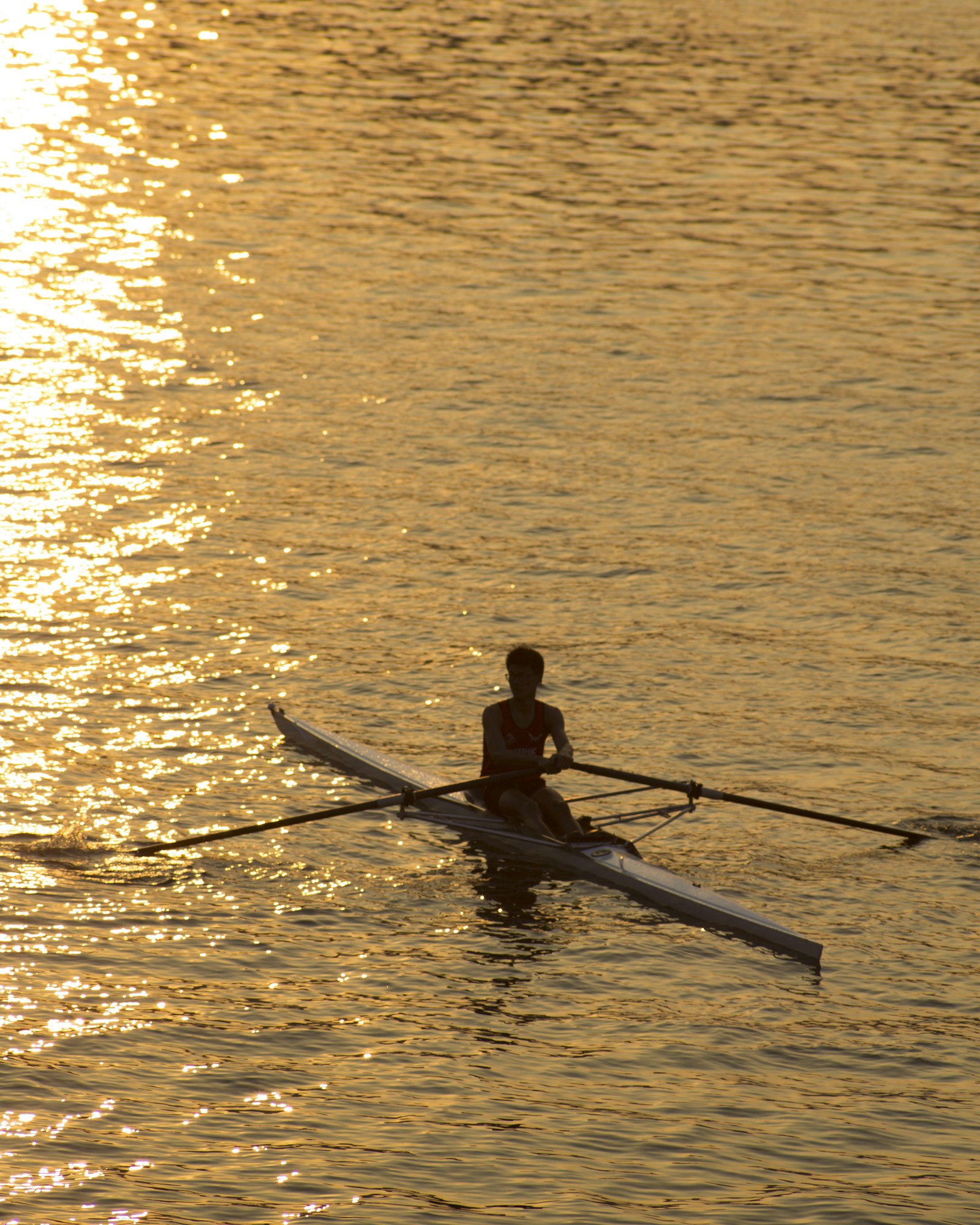 Remador solitário em contraluz dourada sobre água cintilante, silhueta ao entardecer