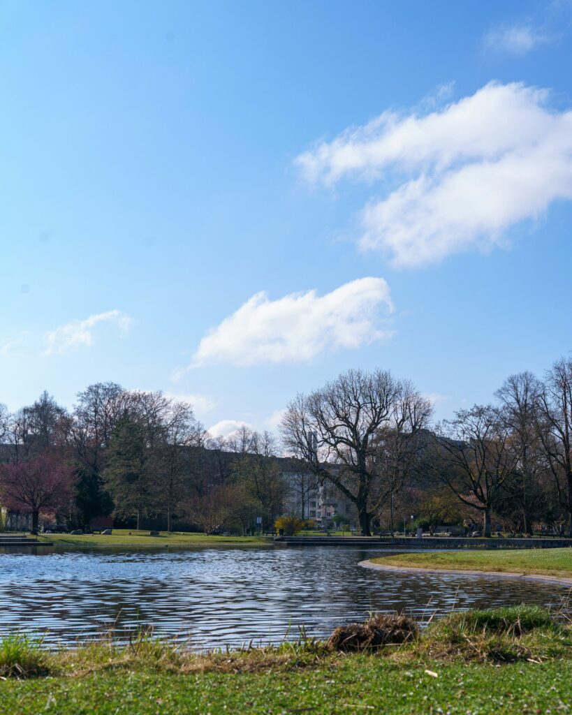 Lago ensolarado cercado por vegetação sob céu limpo — verão no Lago Paranoá, Brasília